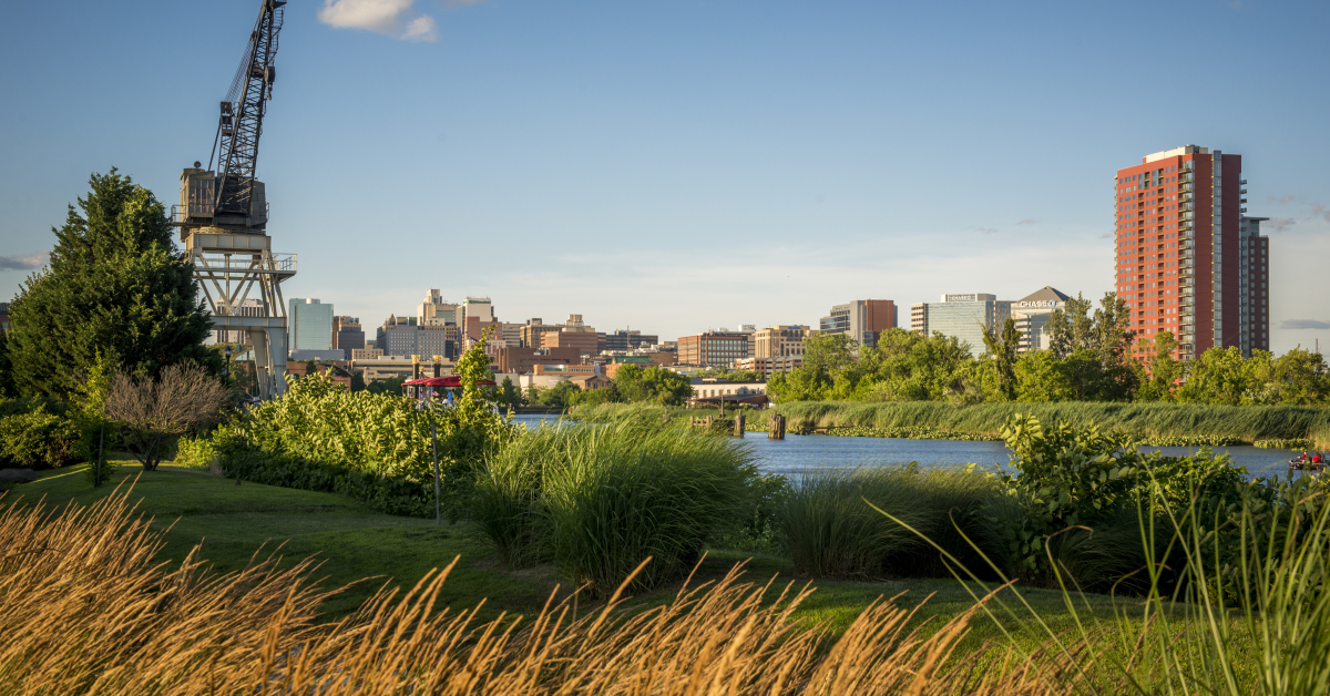 Search For Homes Pantano Real Estate